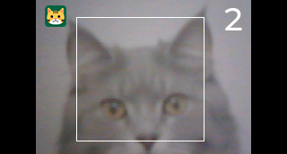 cap001.png