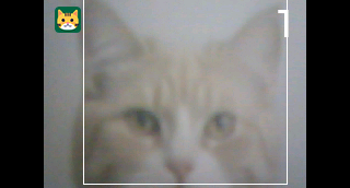 cap002.png