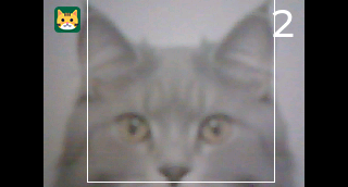 cap002.png