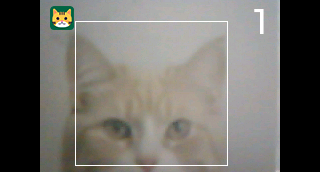 cap004.png